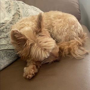 Meet your Posher, Nigel